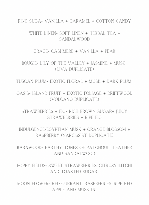 Car Air Freshener Vent Clip